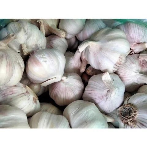 1 Kg Tỏi củ to chắc thơm ngon, tỏi nguyên nhánh to tròn