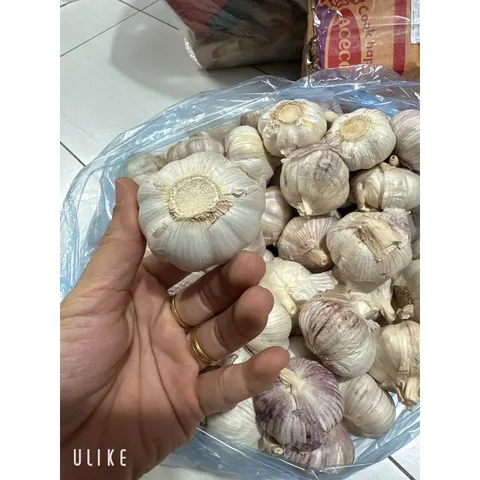 1 Kg tỏi củ to thơm ngon hàng chọn