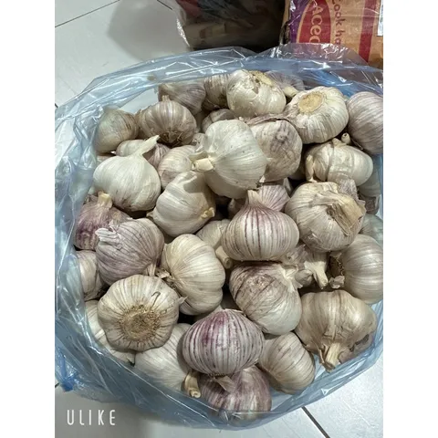 1 Kg tỏi củ to thơm ngon hàng chọn