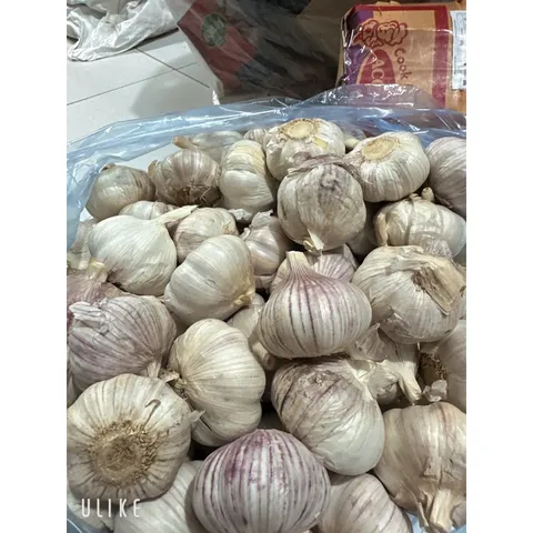 1 Kg tỏi củ to thơm ngon hàng chọn