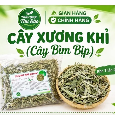 Cây bìm bịp khô (xương khỉ), ngừa trĩ, đau dạ dày, xơ gan, thận, xoang, tăng cường sức đề kháng, giảm cholesterol