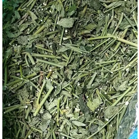 Cây bìm bịp khô (xương khỉ), ngừa trĩ, đau dạ dày, xơ gan, thận, xoang, tăng cường sức đề kháng, giảm cholesterol