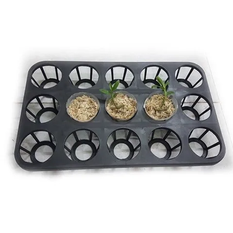 Khay ươm 12 lỗ, 15 lỗ - Chuyên dụng cho trồng Lan, Các Loại cây cảnh, hạt giống Hàng VNXK