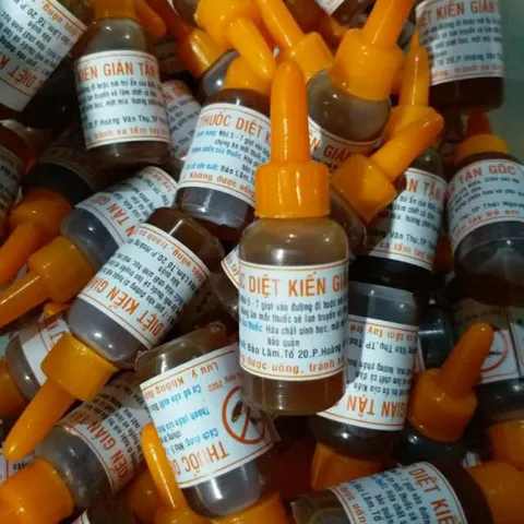 Thuốc diệt Kiến gián côn trùng sinh học ( hiệu quả 100%)