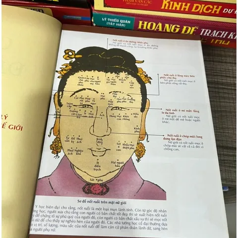 Chiếu Đảm Kinh – Kinh Điển Tướng Thuật Truyền Thế