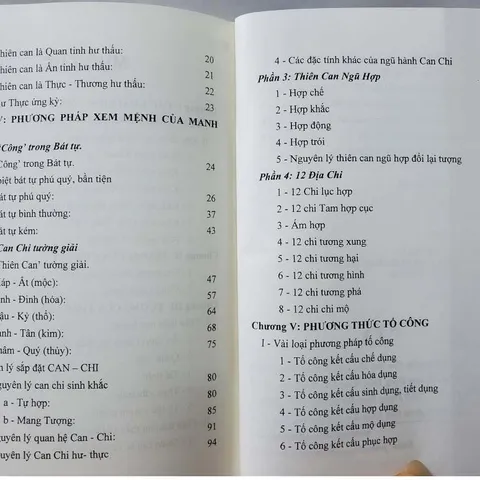 Bát Tự Manh Phái Mệnh Lý Sơ Cấp – Đoàn Kiến Nghiệp