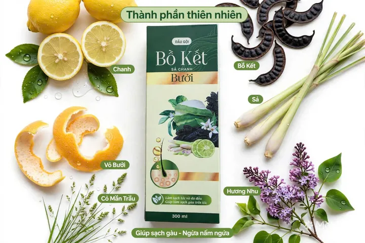 Dầu gội thảo dược Bồ kết hoa bưởi chanh xả Hương nhu cỏ mần trầu Chai 300ml Hàng chính hãng