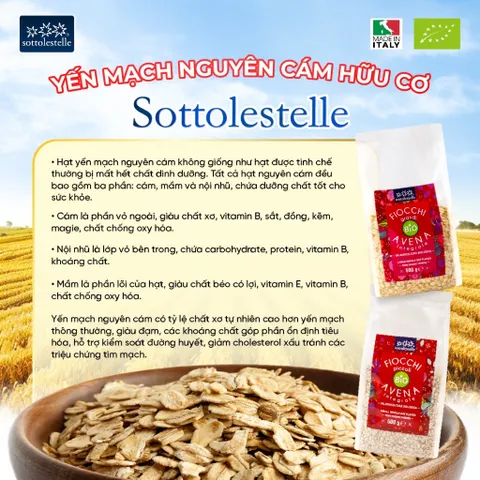 Yến mạch hữu cơ cán vỡ SOTTOLESTELLE Ý 500g