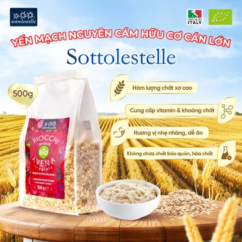 Yến mạch hữu cơ cán vỡ SOTTOLESTELLE Ý 500g