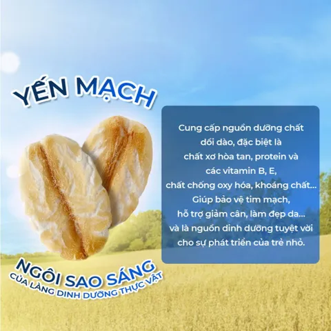 Yến mạch hữu cơ cán vỡ SOTTOLESTELLE Ý 500g