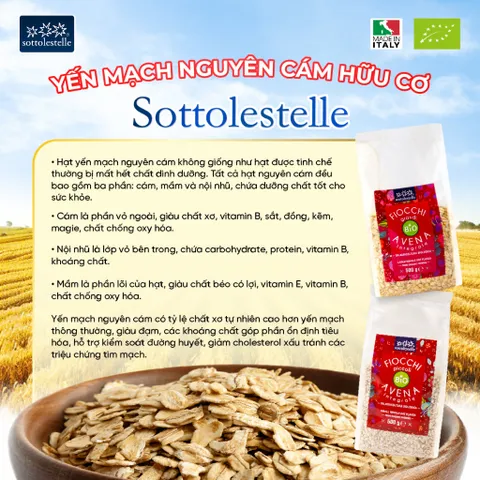 Yến Mạch Nguyên Cám Sottolestelle 500g Hữu Cơ Giàu Dinh Dưỡng Yến Mạch Ăn Kiêng Healthy