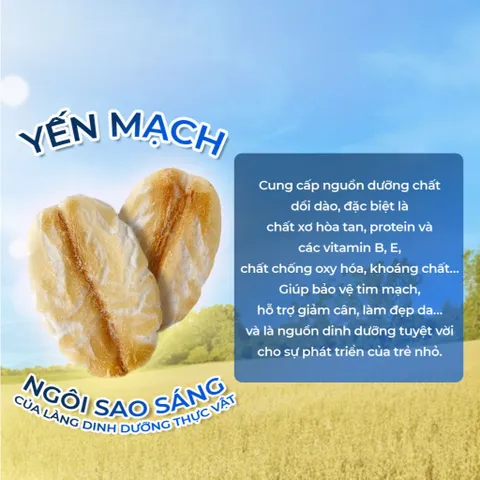 Yến Mạch Nguyên Cám Sottolestelle 500g Hữu Cơ Giàu Dinh Dưỡng Yến Mạch Ăn Kiêng Healthy