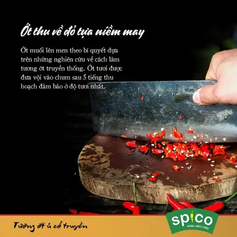 Tương Ớt Truyền Thống SPICO Chai 290gr Tương Ớt Không Chất Bảo Quản Không Hương Liệu Nhân Tạo Không Bột Ngọt