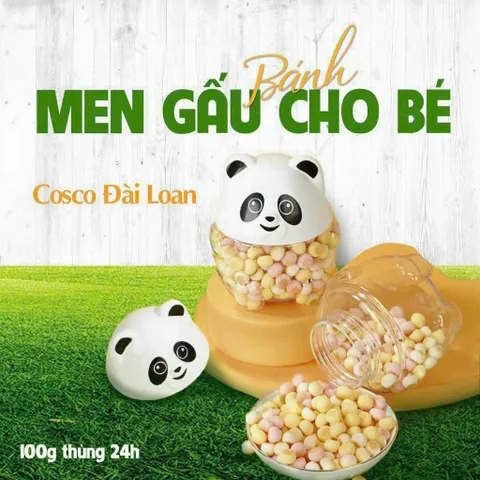 Bánh men bi GẤU TRÚC COSCO hộp 100G