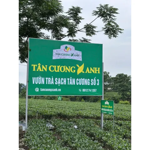 Trà Sen Ngọc Tỉnh Liên  Hộp Long Phượng,Đại Việt , Hứng Dừa , Tứ Long Trà Sạch Tân Cương Xanh