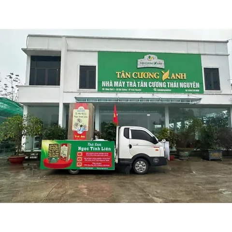 Tân Cương Long Đình 100G,200G - Trà SạchTân Cương Xanh