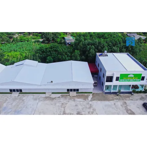 Trà Đinh Tân Cương Tiến Quan , Hoàng Gia , Tứ Quý, Tiến Vua 500g Hộp Kim Loại Luxury Trà Sạch Tân Cương Xanh