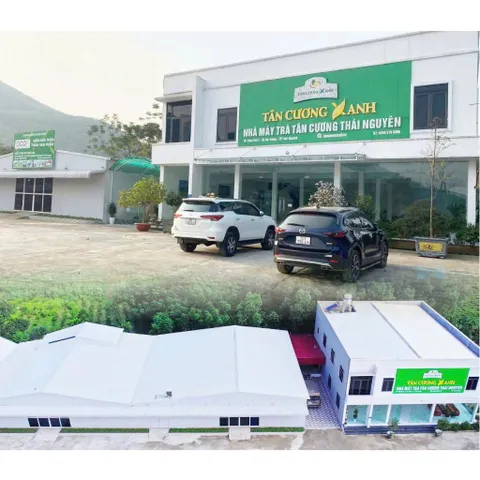Hộp Trà Túi Lọc : Trà Xanh, Trà Sen, Trà Nhài, Trà Cúc, Hồng Trà, Ô Long Trà Sạch Tân Cương Xanh