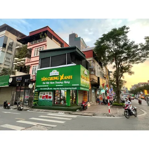 Trà Tân Cương Thượng Hạng/Trà Long Đình/ Trà Tước Thiệt  Luxury 500g Hộp Thiếc Cao Cấp Trà Sạch Tân Cương Xanh