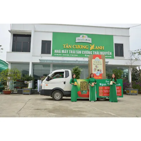 Trà Ướp Bông Sen Tây Hồ ( 1 Bông) / Hộp Trà Đinh Ướp Bông Sen Sấy Thăng Hoa Ngọc Tỉnh Liên Trà Sạch Tân Cương Xanh