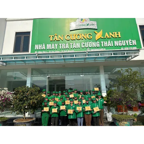 Trà Ô Long Sữa, Trà Ô Long Sâm Cao Cấp  200gram Trà Sạch Tân Cương Xanh