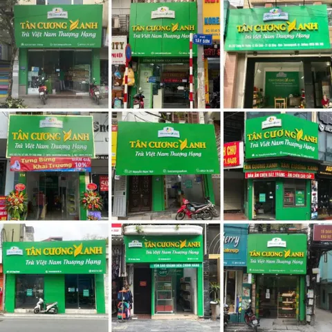 Trà Đinh Tân Cương Tiến Vua 250gram Trà Ấm Trà Sạch Tân Cương Xanh