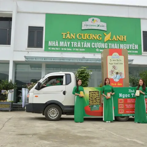Trà Đinh Ướp Sen Ngọc Tỉnh Liên 100g, 200g - Trà Ấm Trà Sạch Tân Cương Xanh