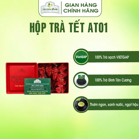 Hộp Trà Thái Nguyên QT10, QT15,AT01, AT02 100gram Trà Sạch Tân Cương Xanh