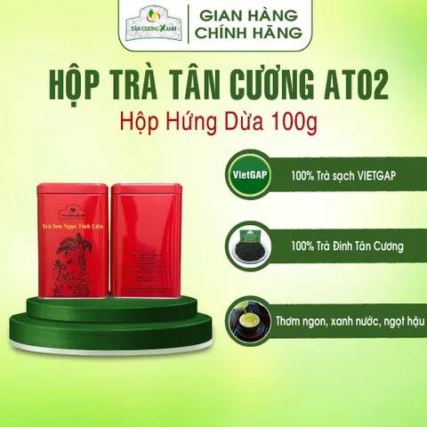 Hộp Trà Thái Nguyên QT10, QT15,AT01, AT02 100gram Trà Sạch Tân Cương Xanh