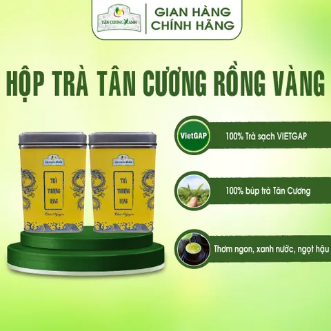 Hộp Trà Thái Nguyên QT10, QT15,AT01, AT02 100gram Trà Sạch Tân Cương Xanh