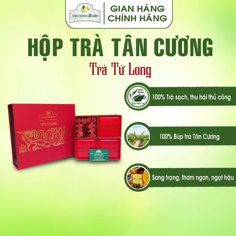 Hộp Trà Tân Cương Hứng Dừa / Long Phượng / Đại Việt / Tứ Long - Quà Tặng Cao Cấp Trà Sạch Tân Cương Xanh