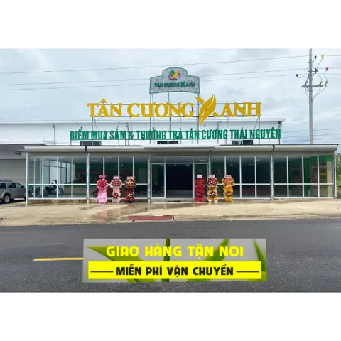 Hộp Trà Tân Cương Đại Việt 200g - Qùa Tặng Cao Cấp Trà Sạch Tân Cương Xanh