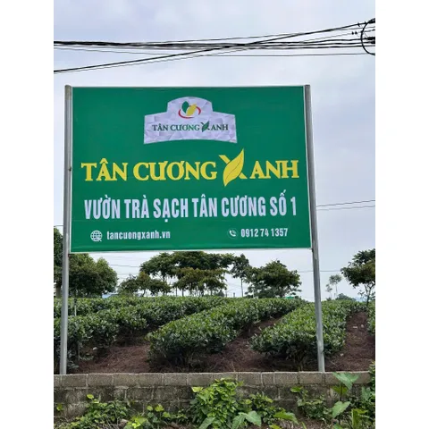 Hộp Trà Ướp Bông Sen Ngọc Tỉnh Liên Hộp 6 Bông , 8 Bông Trà Sạch Tân Cương Xanh