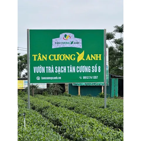 Trà Tân Cương Tước Thiệt 100g,200g Trà Sạch Tân Cương Xanh