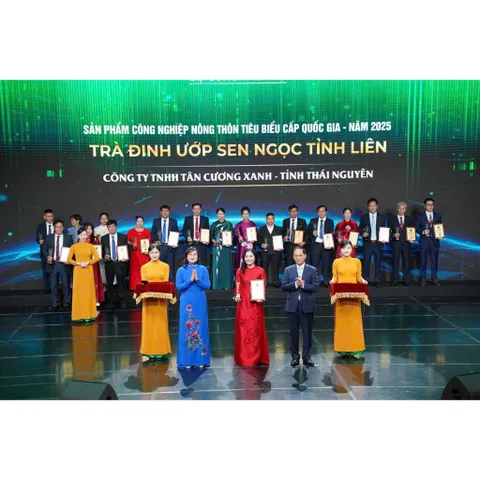 Chè Tân Cương Thượng Hạng 500G Trà Sạch Tân Cương Xanh