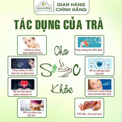 Trà Đinh Tân Cương Tiến Quan 100g 200g, 250g 500g Trà Sạch Tân Cương Xanh