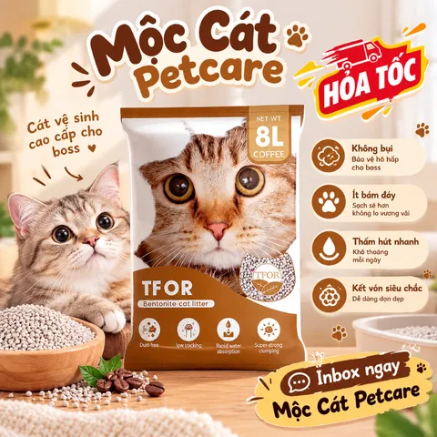 CÁT VỆ SINH CHO MÈO TFOR 3KG5/TÚI BENTONITE-CHẤT LƯỢNG CAO-ÍT BỤI-KHỬ MÙI TỐT-VÓN CHẮC CHẮN