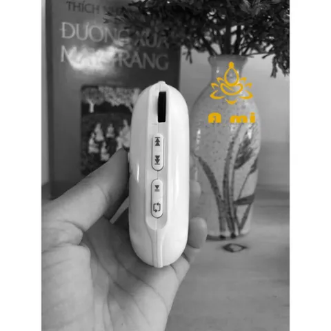 Máy niệm Phật Lá Bồ Đề 50 bài hàng Chất Lượng, cao cấp 890651
