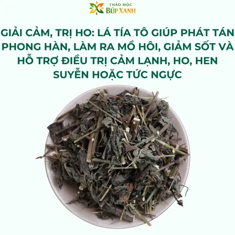 Tía Tô Khô 1KG Sạch, Thơm | Lá Tía Tô Khô Hàng Mới | Trà Tía Tô Thảo Mộc Búp Xanh