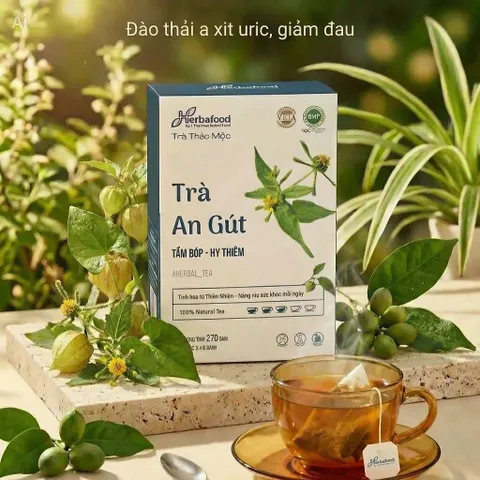 Trà An Gút Herbafood (An Thái Hưng) Giảm Axit Uric, sưng đau khớp do Gout - Hộp 60 túi lọc 4,5g