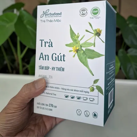 Trà An Gút Herbafood (An Thái Hưng) Giảm Axit Uric, sưng đau khớp do Gout - Hộp 60 túi lọc 4,5g