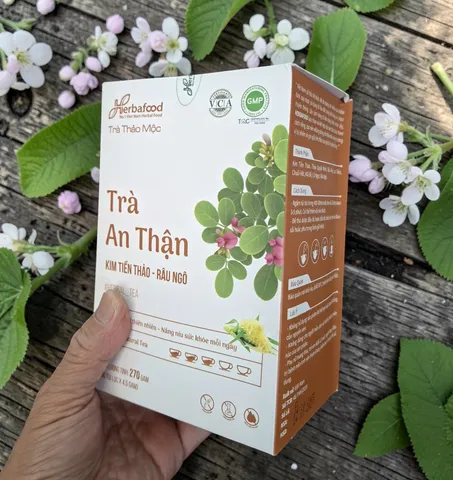 Trà An Thận Herbafood (An Thái Hưng) - Hỗ trợ tan sỏi thận, lợi tiểu, mát gan - Hộp 60 túi lọc 4,5g