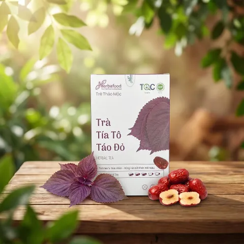 Trà Tía Tô Táo Đỏ Herbafood - Hỗ Trợ Đào Thải Acid Uric, Thanh Lọc Cơ Thể (Hộp 60 Túi Lọc x 4.5g)