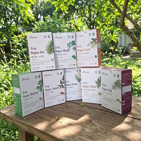 Trà Thảo Mộc Herbafood (An Thái Hưng) – Dòng Trà Ngọc (Hộp 30 Túi Lọc 4.5g)