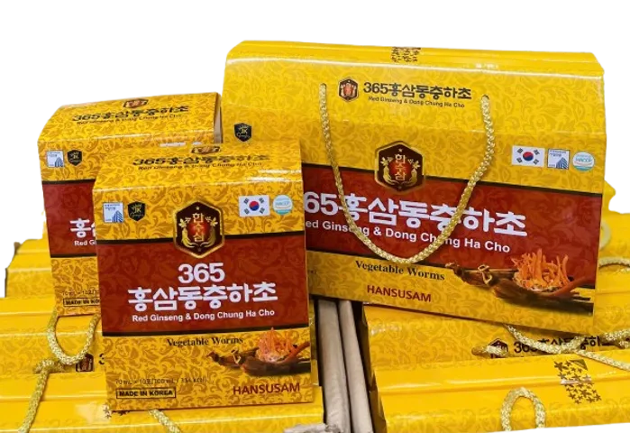Đông trùng quai xách hansusam