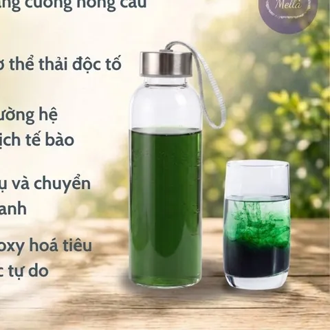 [ Hàng Chính Hãng ] Nước Uống Cô Đặc Green Quantum/ Mát gan/ Bổ sung diệp lục