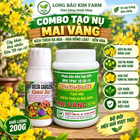 Combo Tạo Nụ Mai Vàng 10-60-10 TE + Canxi Bo Sữa Chống Rụng Hoa Trái Non Kích Thích Ra Nụ Mạnh Đều Đẹp