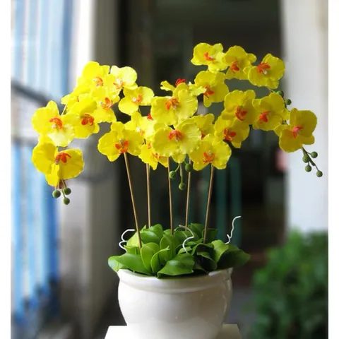 Phân Bón Hữu Cơ Dưỡng Cây, Dưỡng Rễ Cho Lan Orchid 1, Dung Tích 500gram