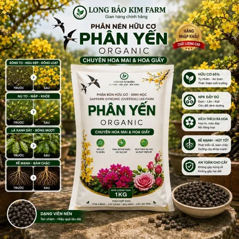Phân Bón Hữu Cơ Chuyên Cây Mai Vàng -Bonsai - Hoa Kiểng Và Rau Sạch Tại Nhà gói 1kg