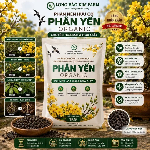 Phân Bón Hữu Cơ Chuyên Cây Mai Vàng -Bonsai - Hoa Kiểng Và Rau Sạch Tại Nhà gói 1kg
